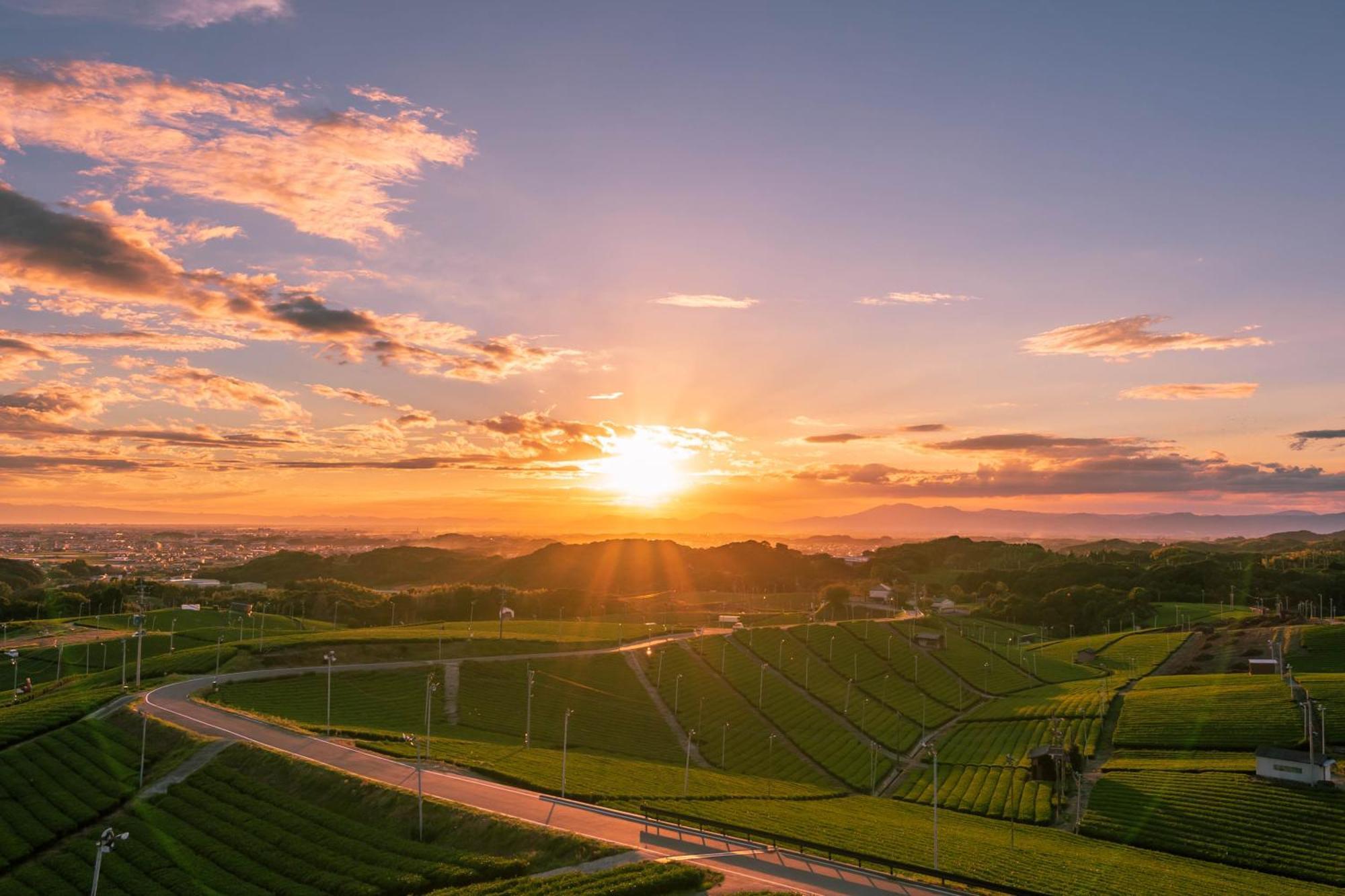 Nipponia Hotel Yamefukushima Merchant Town 田川市 エクステリア 写真