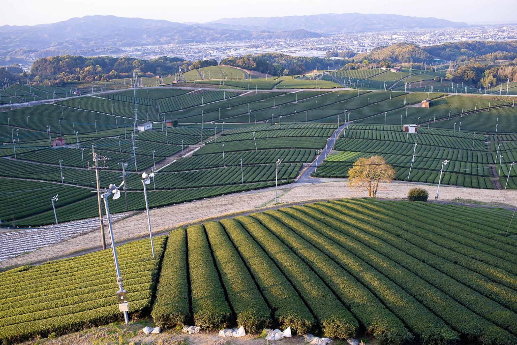 Nipponia Hotel Yamefukushima Merchant Town 田川市 エクステリア 写真